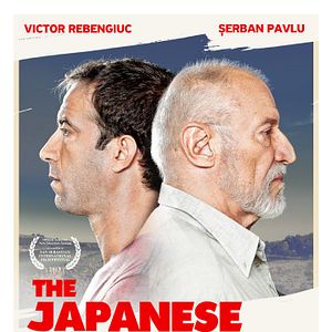 Fotoğraf Japon Köpeği