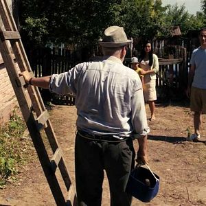 Fotoğraf Japon Köpeği