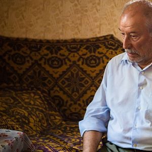 Fotoğraf Japon Köpeği