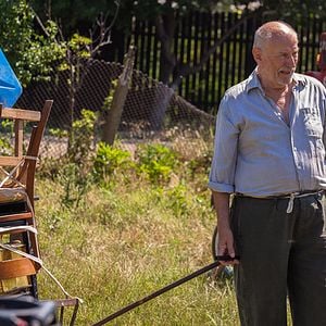 Fotoğraf Japon Köpeği