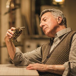 Fotoğraf Dustin Hoffman