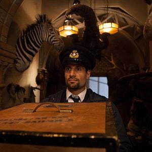 Fotoğraf Ayı Paddington