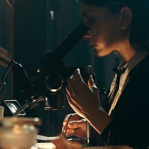 Fotoğraf Burgonya Dükü