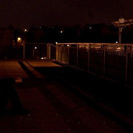 Fotoğraf Asfalt Çiçekleri