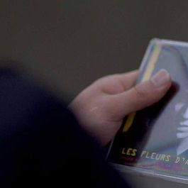 Fotoğraf Asfalt Çiçekleri