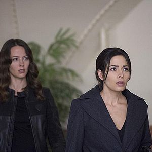 Fotoğraf Sarah Shahi