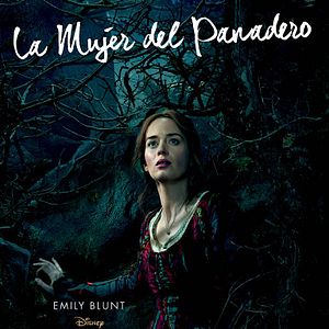 Fotoğraf Sihirli Orman