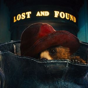 Fotoğraf Ayı Paddington
