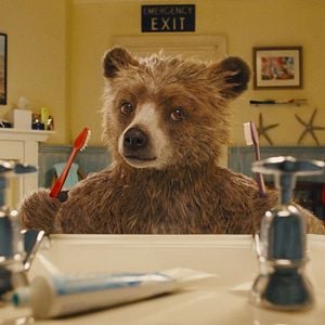 Fotoğraf Ayı Paddington