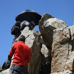 Fotoğraf Kırlangıçlar Susamışsa