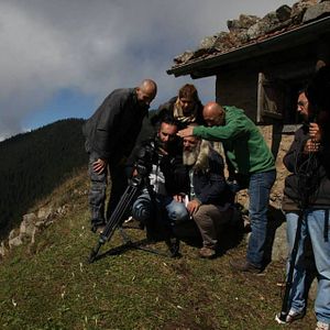 Fotoğraf Kırlangıçlar Susamışsa