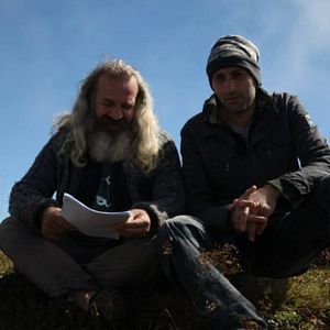 Fotoğraf Kırlangıçlar Susamışsa