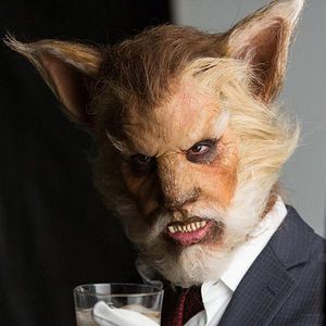 Fotoğraf Mark Bloom