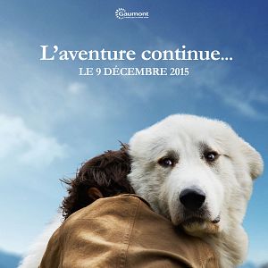 Fotoğraf Sebastian: Sevgili Dostum