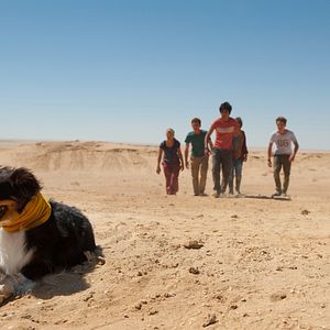 Fotoğraf Omid Memar