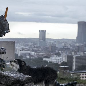 Fotoğraf Chappie