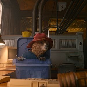 Fotoğraf Ayı Paddington