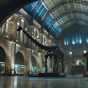 Fotoğraf Ayı Paddington