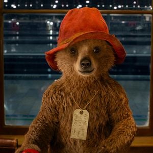 Fotoğraf Ayı Paddington
