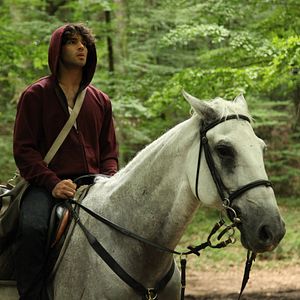 Fotoğraf Sevimli Tehlikeli