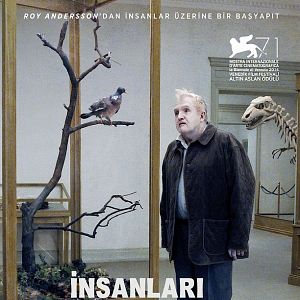 Fotoğraf İnsanları Seyreden Güvercin