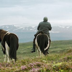 Fotoğraf Hross i oss