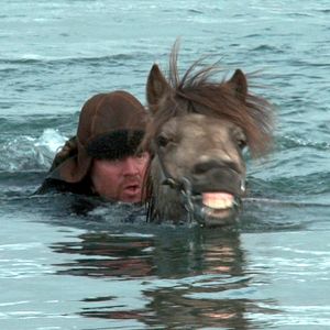 Fotoğraf Hross i oss