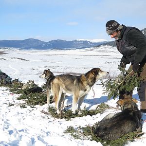 Fotoğraf Nicolas Vanier