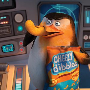 Fotoğraf Madagaskar Penguenleri