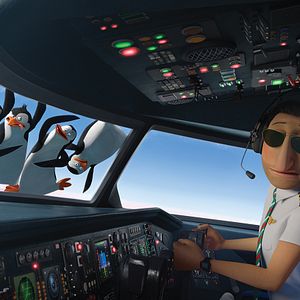 Fotoğraf Madagaskar Penguenleri