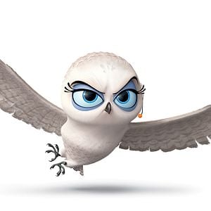 Fotoğraf Madagaskar Penguenleri