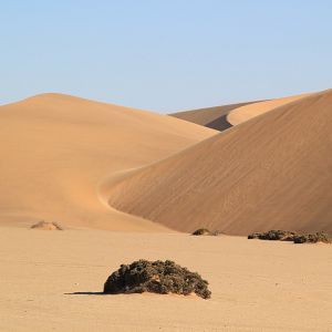 Fotoğraf Safari Macerası