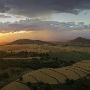 Fotoğraf Safari Macerası