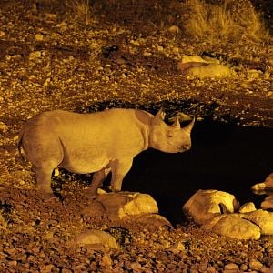 Fotoğraf Safari Macerası