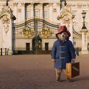 Fotoğraf Ayı Paddington