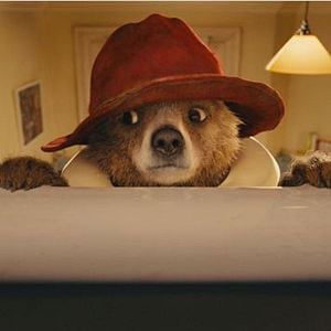 Fotoğraf Ayı Paddington