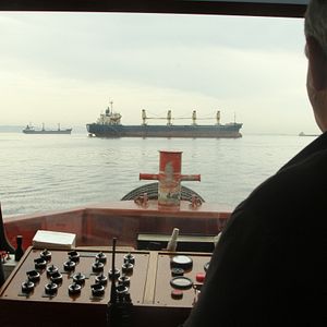 Fotoğraf Sarmaşık