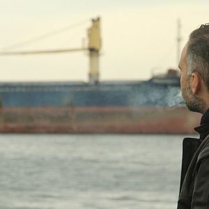 Fotoğraf Sarmaşık