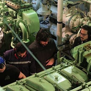 Fotoğraf Sarmaşık