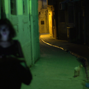 Fotoğraf A Gay Girl In Damascus: The Amina Profile