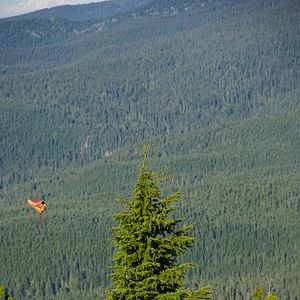 Fotoğraf Reese Witherspoon