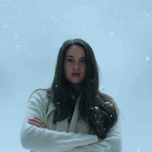 Fotoğraf Karda Bir Beyaz Kuş