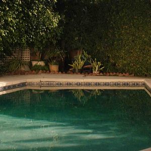 Fotoğraf Karda Bir Beyaz Kuş