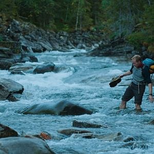 Fotoğraf Doğada Tek Başına
