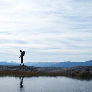 Fotoğraf Doğada Tek Başına