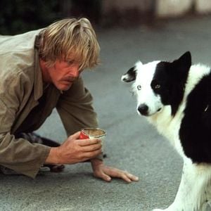 Fotoğraf Beverly Hills Macerası