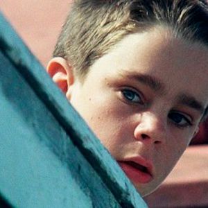 Fotoğraf Bir Köpek Olarak Hayatım