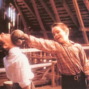 Fotoğraf Bir Köpek Olarak Hayatım