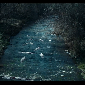 Fotoğraf Helak: Kayıp Köy