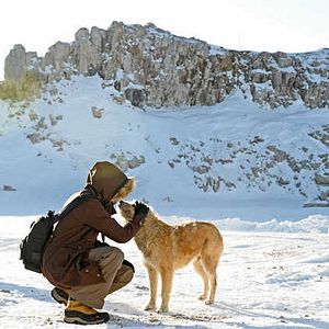 Fotoğraf The Timber